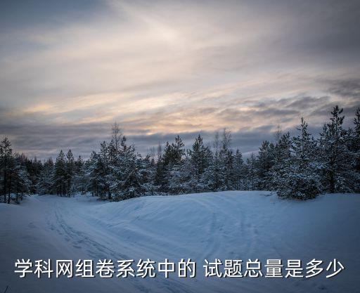 学科网组卷系统中的 试题总量是多少