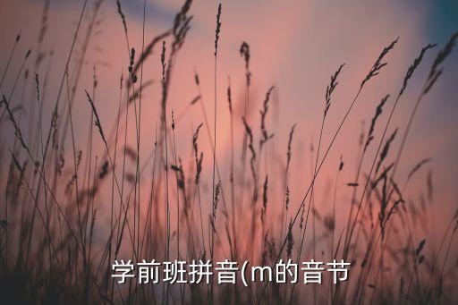 声母 学前班教案全集,幼儿园大班教案6
