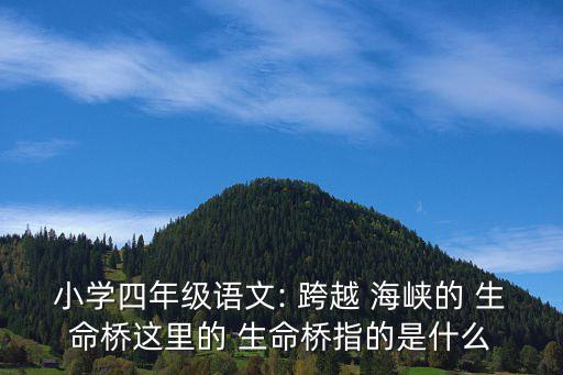 小学四年级语文: 跨越 海峡的 生命桥这里的 生命桥指的是什么