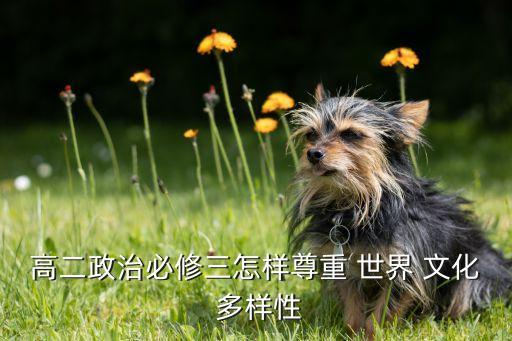 世界文化的多样性优秀教案,如何提供文化多样性?