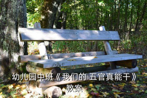  幼儿园中班《我们的 五官真能干》 教案