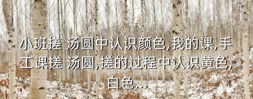 小班搓 汤圆中认识颜色,我的课,手工课搓 汤圆,搓的过程中认识黄色,白色...