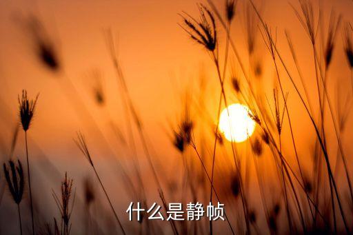 逐帧动画教案六年级,一秒动画/25张连续静止图片