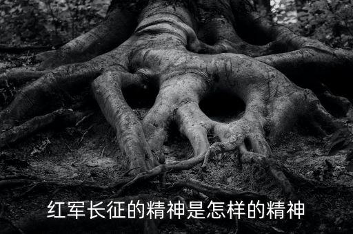 二万五千里长征品德教案,长征路上的人和事