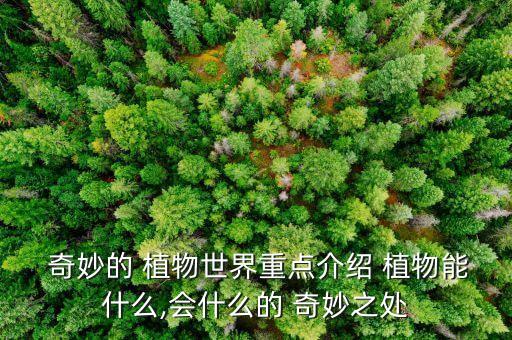  奇妙的 植物世界重点介绍 植物能什么,会什么的 奇妙之处