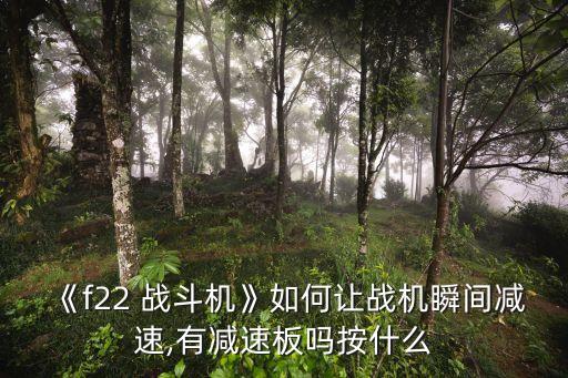 《f22 战斗机》如何让战机瞬间减速,有减速板吗按什么