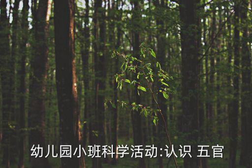  幼儿园小班科学活动:认识 五官