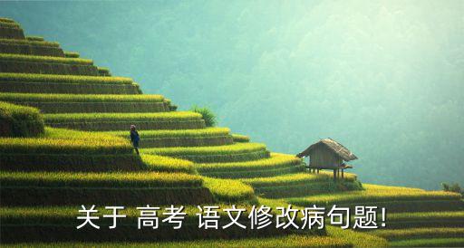 关于 高考 语文修改病句题!