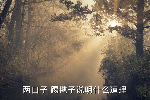 两口子 踢毽子说明什么道理