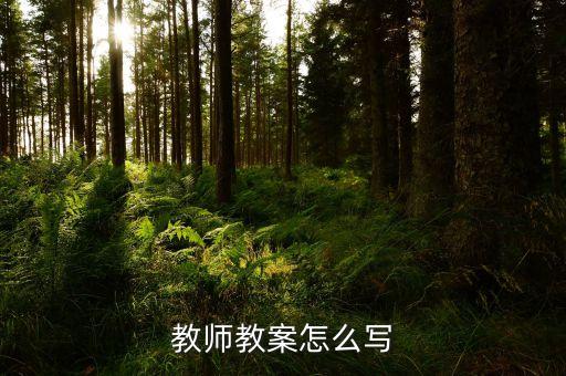 教师教案怎么写