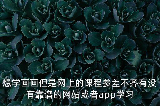 想学画画但是网上的课程参差不齐有没有靠谱的网站或者app学习
