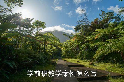 学前班教学案例怎么写