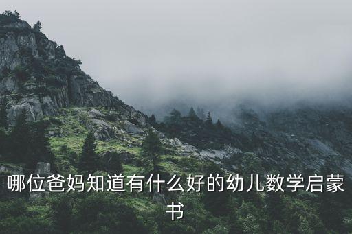 哪位爸妈知道有什么好的幼儿数学启蒙书