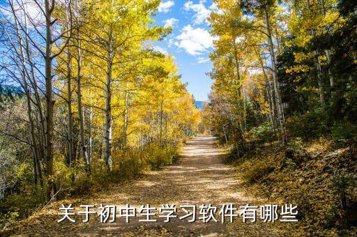关于初中生学习软件有哪些