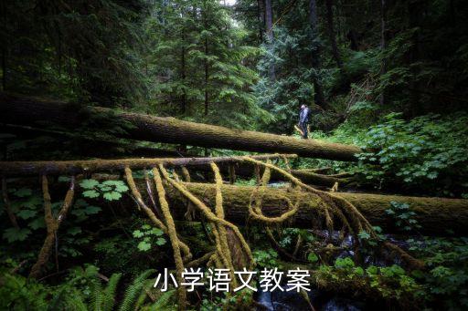 小学语文教案