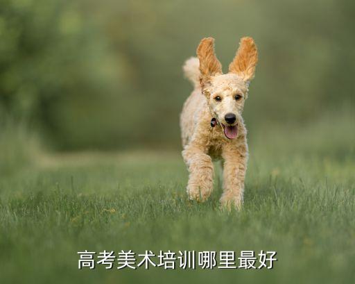 高考美术培训哪里最好