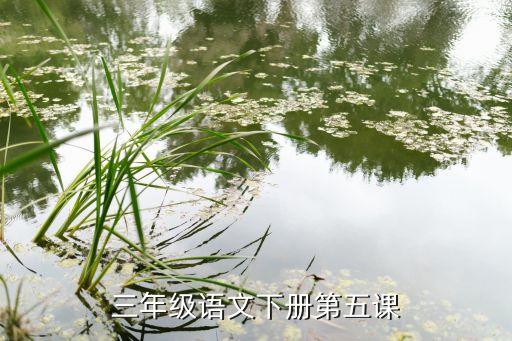 三年级语文下册第五课