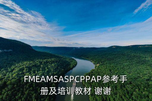 FMEAMSASPCPPAP参考手册及培训教材 谢谢