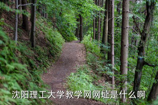 教学网门户，教育类的门户网站有哪些