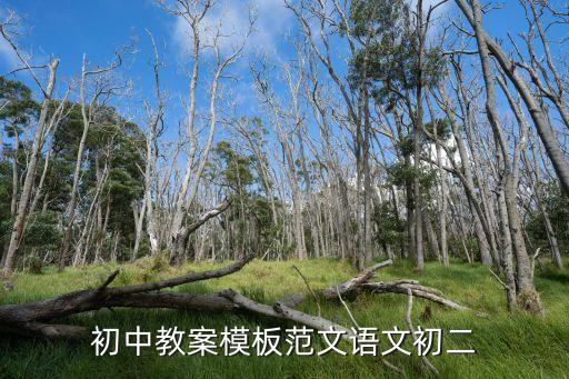 初中教案模板范文语文初二
