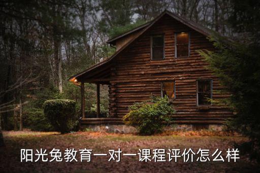 阳光兔教育一对一课程评价怎么样