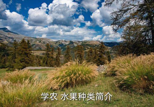 学农 水果种类简介