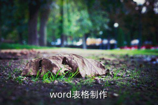 word表格制作