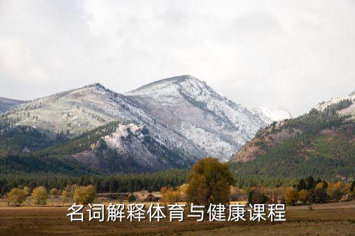 名词解释体育与健康课程