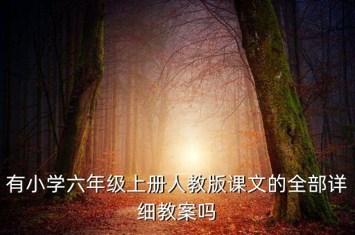 有小学六年级上册人教版课文的全部详细教案吗