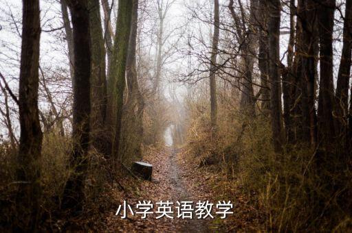 小学英语教学