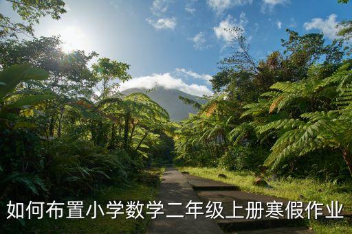 如何布置小学数学二年级上册寒假作业