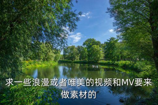 求一些浪漫或者唯美的视频和MV要来做素材的