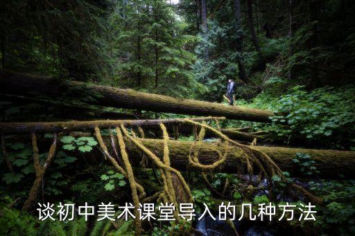 谈初中美术课堂导入的几种方法
