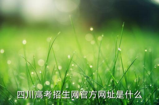 四川高考招生网官方网址是什么