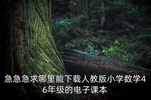 急急急求哪里能下载人教版小学数学46年级的电子课本
