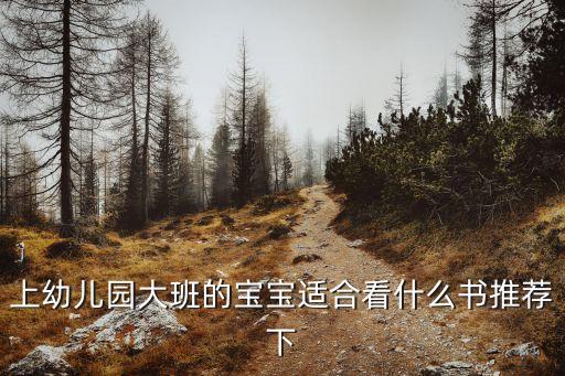 上幼儿园大班的宝宝适合看什么书推荐下