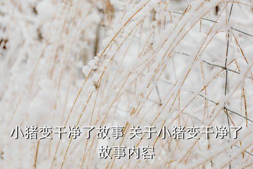 小猪变干净了故事 关于小猪变干净了故事内容