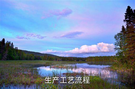 生产工艺流程