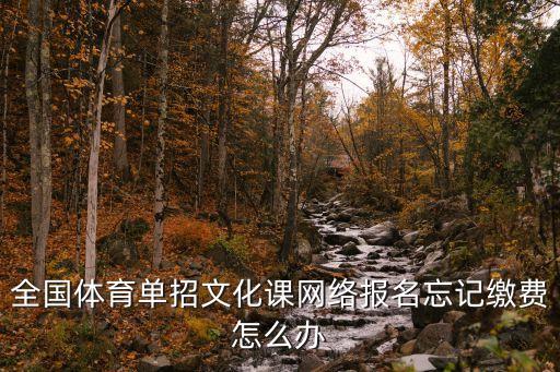 体育单招网课，体育单招文化课考什么怎么样啊