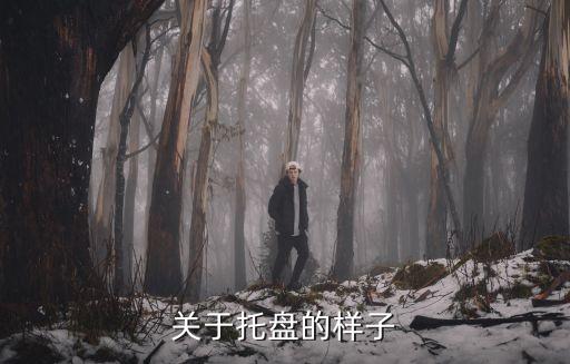 托盘，昆明哪里有卖鸡蛋托盘的 就是硬纸板的那种