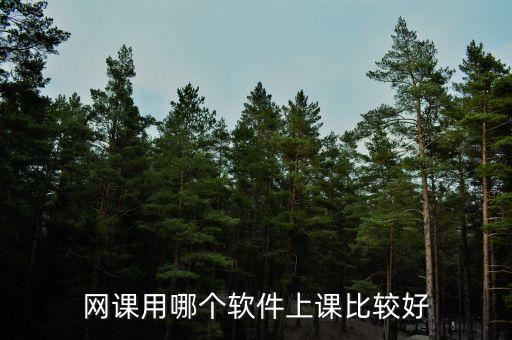 网课用哪个软件上课比较好