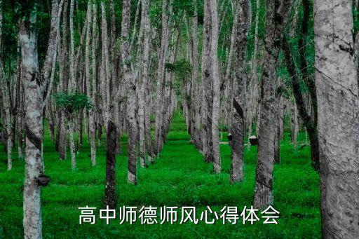 高中师德师风心得体会