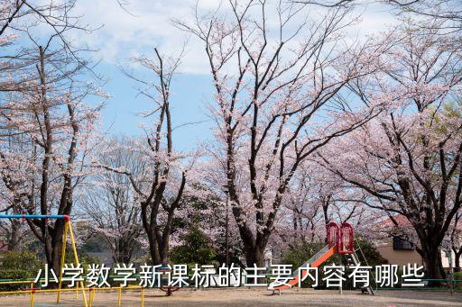 小学数学新课标的主要内容有哪些