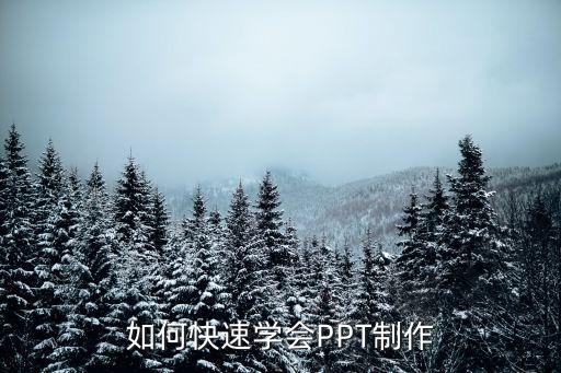 如何快速学会PPT制作