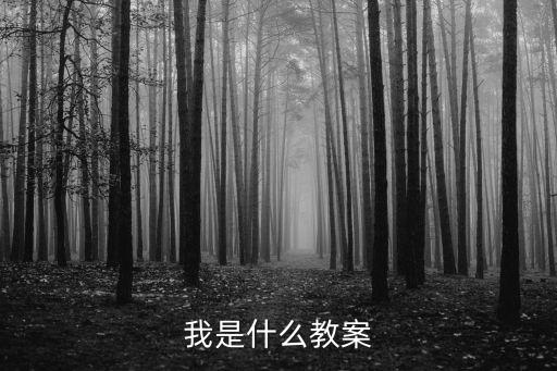 我是什么教案