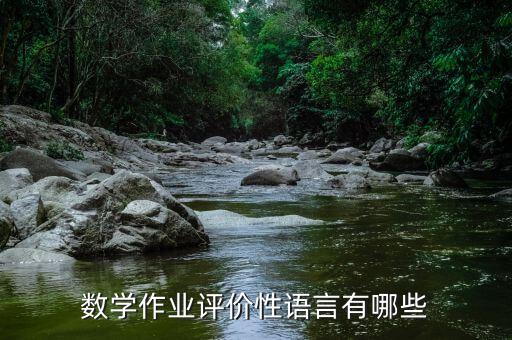 数学作业评价性语言有哪些