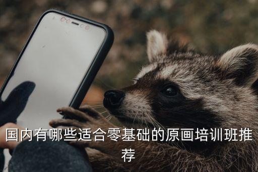国内有哪些适合零基础的原画培训班推荐