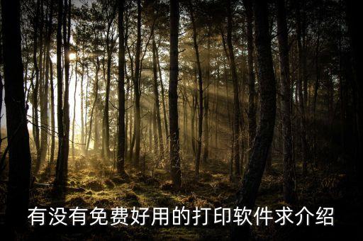 有没有免费好用的打印软件求介绍
