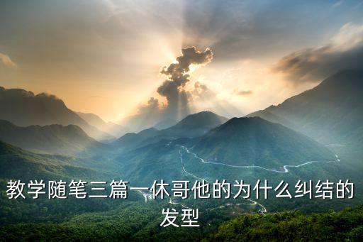 教学随笔三篇一休哥他的为什么纠结的发型