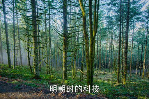 明朝的科技建筑与文学教案，明朝时的科技